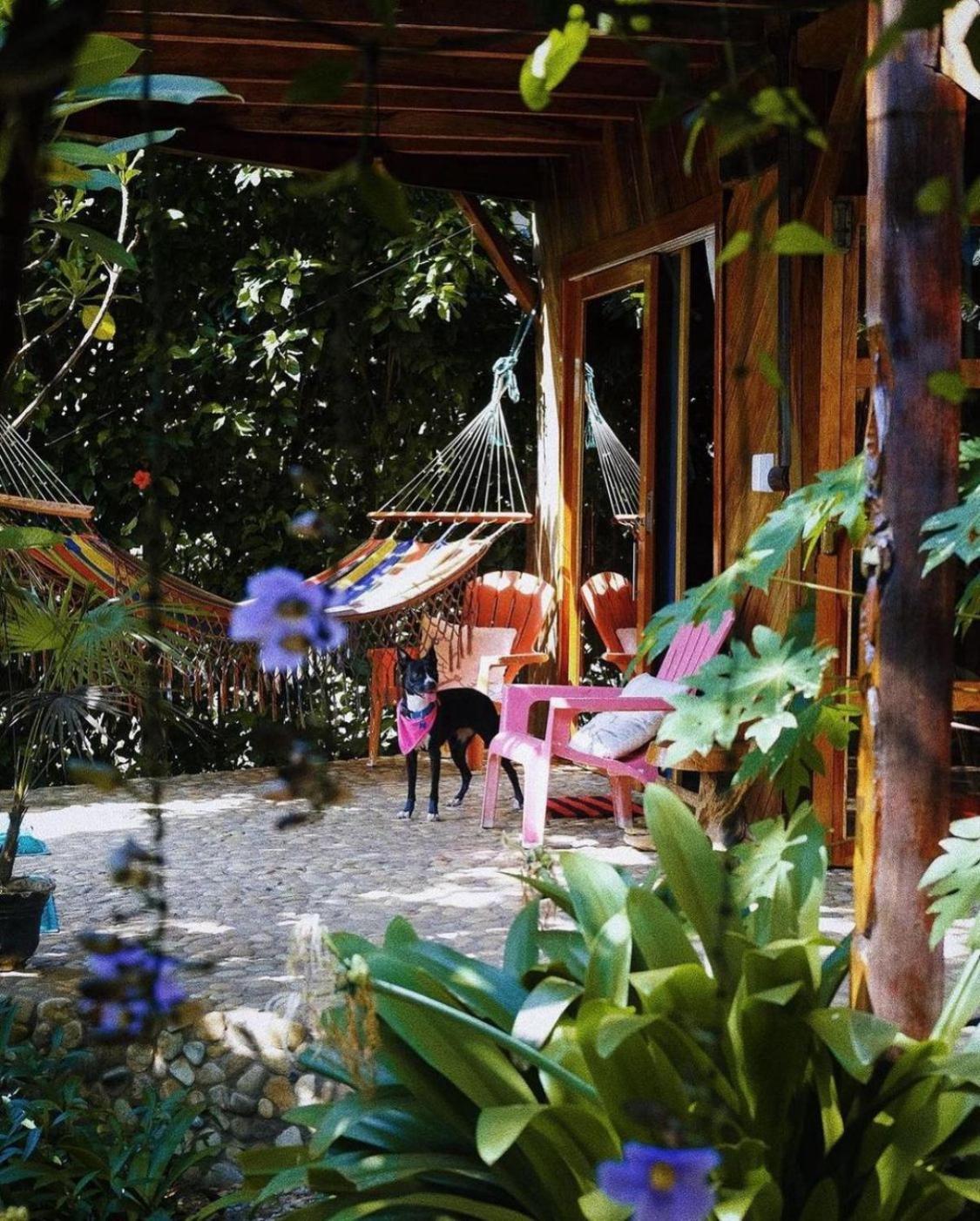 Vistamar Guest House Ayampe Exterior photo